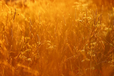 Similar image 10511811