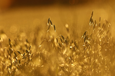 Similar image 10511812