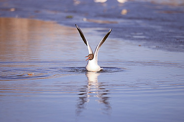 Similar image 10511813