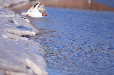 Similar image 10511814