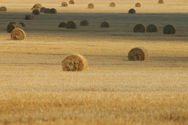 Similar image 10512428