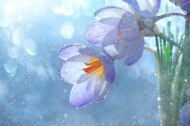 Similar image 10512429