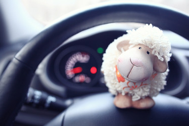 Similar image 10512430