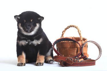 Similar image 10512434