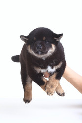 Similar image 10512435