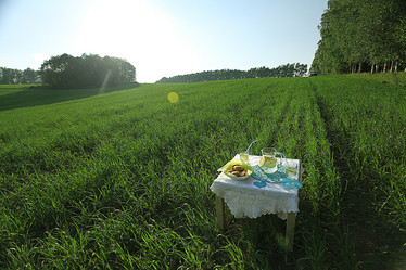 Similar image 10512444