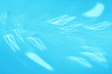 Similar image 10512449