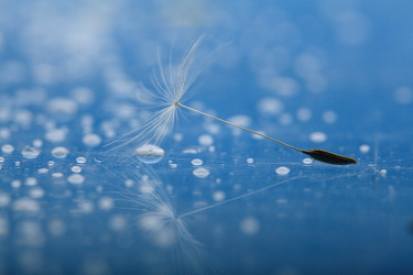 Similar image 10512471