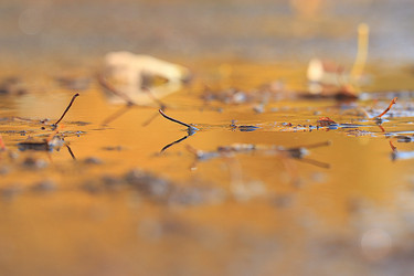 Similar image 10512475