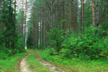 Similar image 10512478