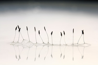 Similar image 10512481