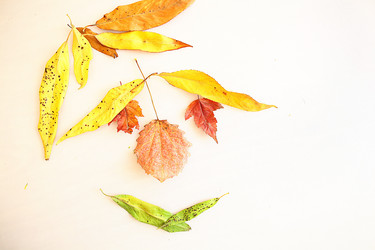 Similar image 10512482