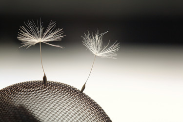 Similar image 10512483