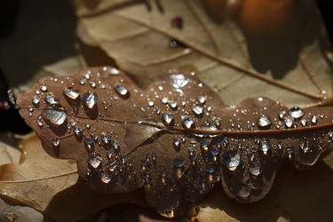 Similar image 10512486