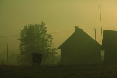 Similar image 10512512