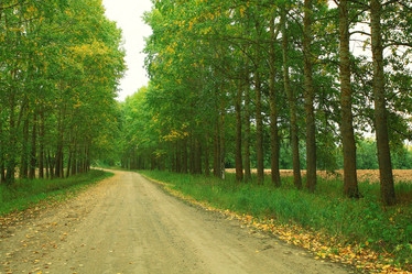 Similar image 10512513