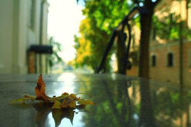 Similar image 10512517