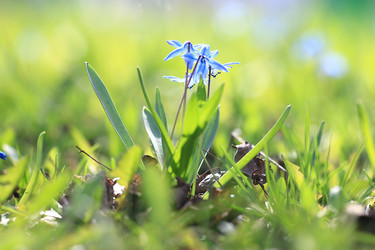 Similar image 10512527