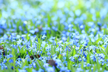 Similar image 10512529