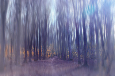 Similar image 10512531