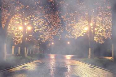 Similar image 10512559