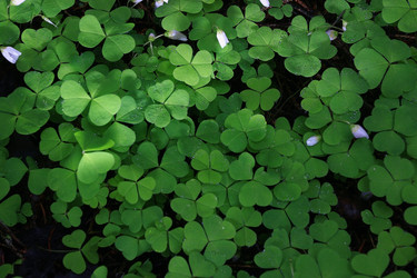 Similar image 10512566