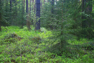 Similar image 10512570