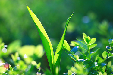 Similar image 10512573