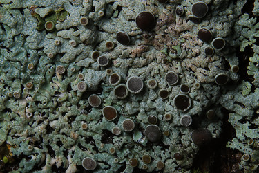 Similar image 10512579