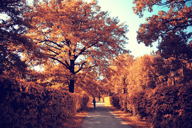 Similar image 10512580