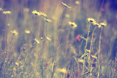 Similar image 10512602