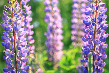 Similar image 10512603