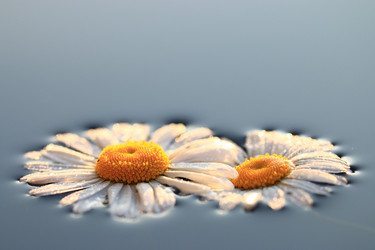 Similar image 10512607