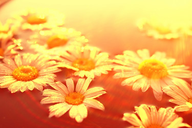 Similar image 10512608