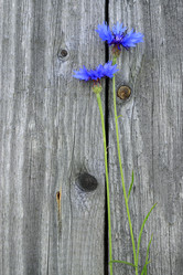 Similar image 10512610