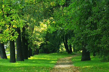 Similar image 10512631