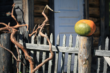 Similar image 10512682