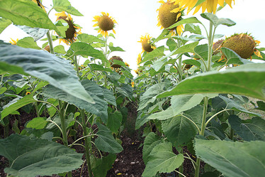 Similar image 10512693