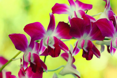 Similar image 10512714