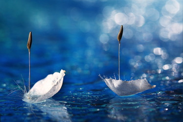 Similar image 10512715