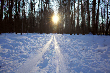 Similar image 10512725