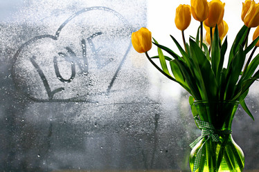 Similar image 10512730