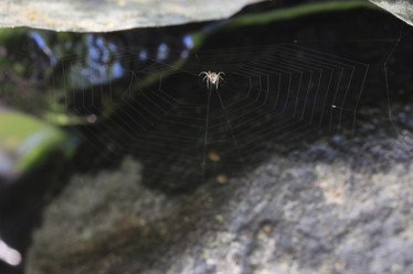 Similar image 10512731