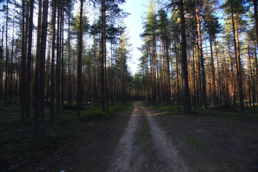 Similar image 10512759