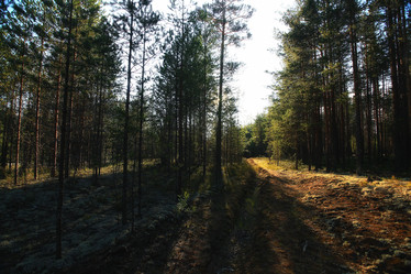 Similar image 10512760