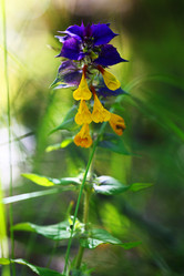 Similar image 10512764