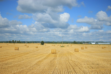 Similar image 10512765