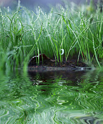 Similar image 10512768