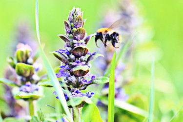 Similar image 10512807