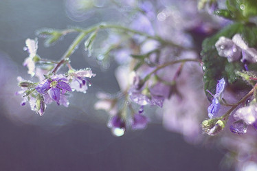 Similar image 10512834